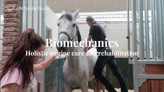 The ABC of the Horse – Biomechanics [upl. by Trip]