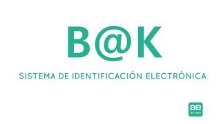 BK SISTEMA DE IDENTIFICACIÓN ELECTRÓNICA [upl. by Cummins]