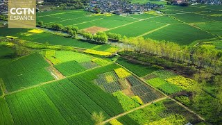 Xi Jinping urge a ampliar la garantía de los recursos de la tierra [upl. by Ettenim]