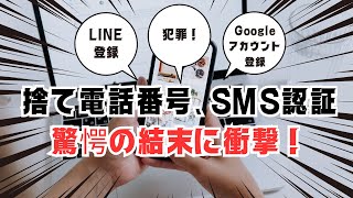 使い捨て電話番号、SMS認証、驚愕の結末に衝撃！ [upl. by Isus]