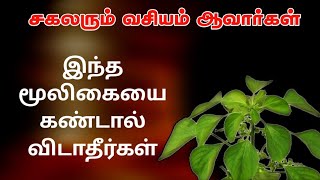 Kali manthirigam in tamilvasiyam seivathu eppadi [upl. by Stew]