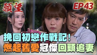 願望 EP43 完整版｜珍妮求婚大失敗 曉春冠傑終於舊情復燃！小三轉正宮 美妍竟懷有金孫？！｜Desires｜【蘿琳亞塑身衣】 [upl. by Abijah135]