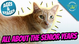 The Senior Cat Years  Cat Ages and Stages [upl. by Jamieson]