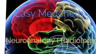 Introduction to Neuroanatomy Radiology [upl. by Kermy]