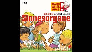 Albert E erklärt unsere Sinnesorgane [upl. by Remle]