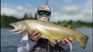 Trolling for Ferox Trout in the Lake District 10lb 2oz FV23 [upl. by Nahamas343]