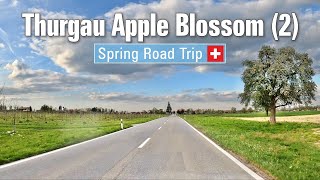 Spring in Switzerland 🇨🇭 Ep7 • Road Trip through the Thurgau apple blossom landscape Pt 2 🍎 4K [upl. by Aiuoqes239]