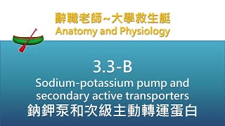 🛶大學救生艇🛶 33 B Sodium potassium pump and secondary active transporters 鈉鉀泵和次級主動轉運蛋白 [upl. by Romeo]