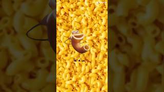 Macaroni dancedance funnyshorts wow [upl. by Eissak45]