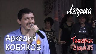 Аркадий КОБЯКОВ  Лягушка Татарск 28022015 [upl. by Seldan874]