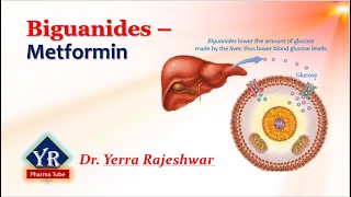 Biguanides  Metformin  Biguanides  YR Pharma Tube  Dr Yerra Rajeshwar  Dr YR [upl. by Nerreg439]