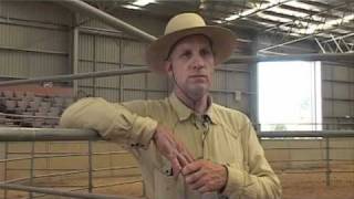 Buck Brannaman Horse Rush TV Australia Exclusive Interview [upl. by Nnylyam289]