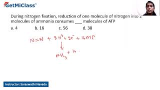 Nitrogen fixation [upl. by Elacsap]