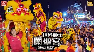 Acrobatic Lion Dance by Muar KSK World Champion 麻坡关圣宫 世界狮王冠军  Pasir Penambang Wan Fo Shih 巴西不南邦万佛寺 [upl. by Leanatan]