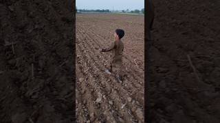 Organic fertilizer  Saleem agro products farming kisaanmajdooriktazidabaa fruit [upl. by Rekrap131]