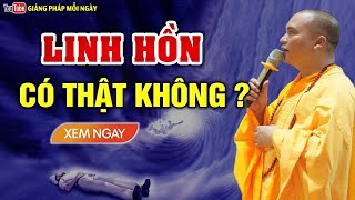 Linh Hồn Có Thật Sự Tồn Tại Hay Không Hết Thắc Mắc Khi Nghe Bài Giảng Này  Thầy Thích Đạo Thịnh [upl. by Boylston]