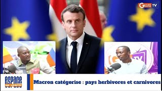 urgent Macron Catégorise pays herbivores et carnivores [upl. by Eyeleen919]