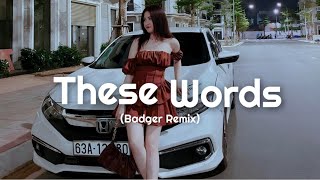 Natasha Bedingfield  These Words Badger Remix Car Music [upl. by Anaerb]