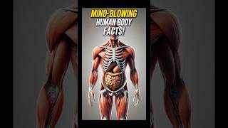 Crazy Facts About the Human Body You Never Knew [upl. by Genna]