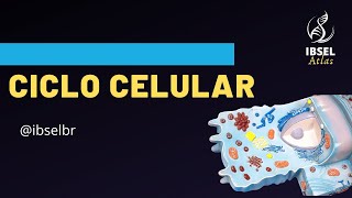 Biologia  Ciclo Celular [upl. by Adnilim342]