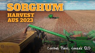 Australian Sorghum Harvest 2023 QLD [upl. by Aehtela]