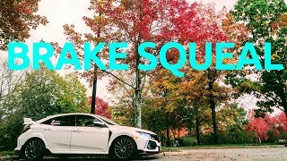 Honda Civic Type R Brake Noise PROBLEMS  WHAT SHOULD WE DO [upl. by Notniv]