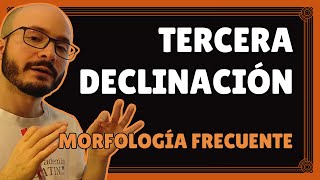 TERCERA DECLINACIÓN griega morfología FRECUENTE 🎭 Curso de griego antiguo desde cero 512 [upl. by Adigun]