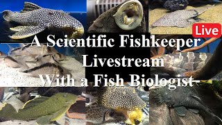 A Scientific Fishkeepers livestream Why Biology is Important to a Fishkeeper [upl. by Kinelski]