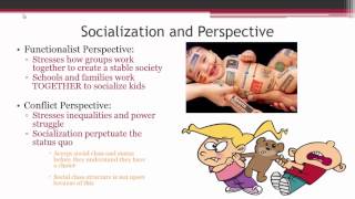 Socialization Overview [upl. by Aia]