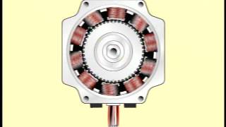 Operating Principles of a 5phase Stepper Motor [upl. by Sams]