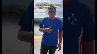 PESCA EN EL MUELLE DELA CEIBA HONDURAS ♥️ BUSEROS ALA PESCA 🎣 🚌 [upl. by Irehj]