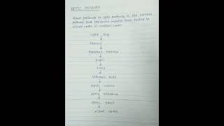 Optic pathway Eye physiology [upl. by Gibeon852]