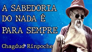 Entender a IMPERMANÊNCIA para VIVER melhor  Chagdud Tulku Rinpoche [upl. by Enrak]