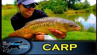 Thinking Tackle Season 5 Show 3  Canal Carp Fishing  Trailer [upl. by Islek]