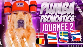 MON CHIEN PRONOSTIQUE LEURO 2020 DE FOOT deuxième journée [upl. by Einamrej436]