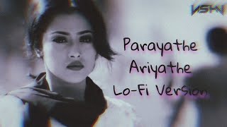 Parayathe Ariyathe Lofiflip  VISHN [upl. by Agemo165]