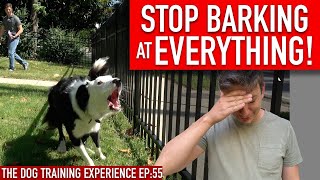 How to Train Your Dog to STOP BARKING at EVERYTHING That Moves [upl. by Jaime]