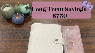 Long Term Savings 750 [upl. by Anneg]