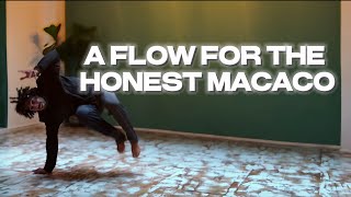 A FLOW FOR THE HONEST MACACO [upl. by Edi]