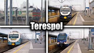 🚈 Mix Pociągów PKP Terespol  Grudzień 2023 [upl. by Adimra]