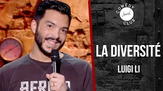 Luigi Li  La diversité  Jamel Comedy Club 2016 [upl. by Roleat888]