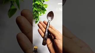 Coconut shell spoon making 🥥👈 diy craft shortsfeed shorts art [upl. by Dolf]