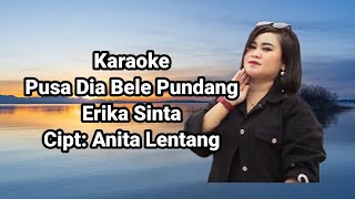 Karaoke Pusa Dia Bele Pundang  Erika Sinta [upl. by Filmore]