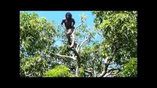 Rochester Falls Mauritius Big Jump [upl. by Oilejor642]