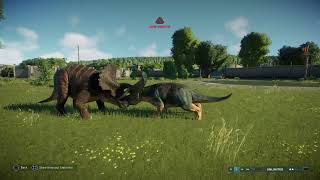 Jurassic World Evolution 2 Modified Nasutoceratops vs Triceratops [upl. by Golliner519]