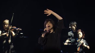 エレファントカシマシ「風に吹かれて」from Live Bluray amp DVD『35th ANNIVERSARY TOUR 2023 YES I DO』 [upl. by Alahc]