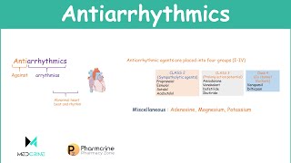 Antiarrhythmic Agents Pharmacology Classifications Examples and Notes [upl. by Figone740]