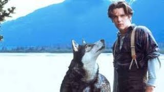 White Fang Full Movie Facts And Review In English  Klaus Maria Brandauer  Ethan Hawke [upl. by Martainn]