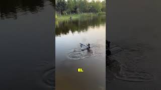 Un Chico Tiró Un Jet Al Río 😱❤️ [upl. by Einaeg]