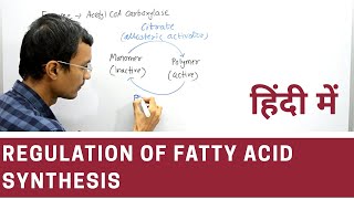 Regulation of Fatty acid synthesis in Hindi [upl. by Ahcas283]